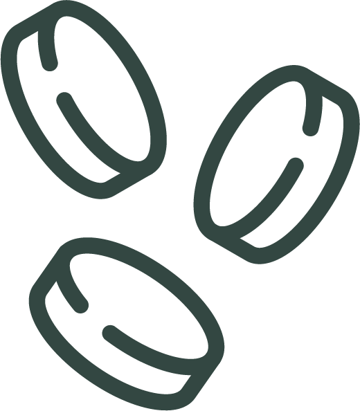 Coin icon